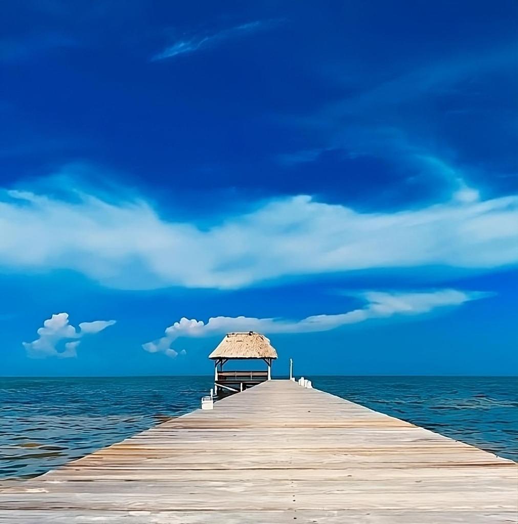 Villa Serenity San Pedro  Rum bild